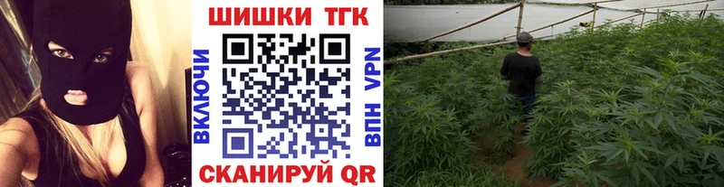 Канабис семена  где купить   Санкт-Петербург 